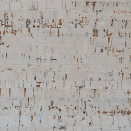 Noordwand Wandkurk kurk tegel Valencia 2102