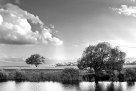 Papermoon Fotobehang Bomen In Het Weiland Zwart-Wit