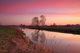 Papermoon Fotobehang Landschap Met Roze Lucht