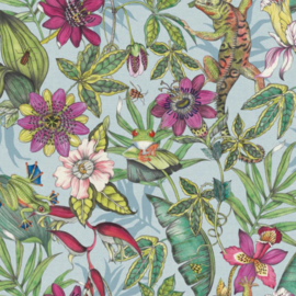 York Wallcoverings Blooms behang Rainforest BL1701