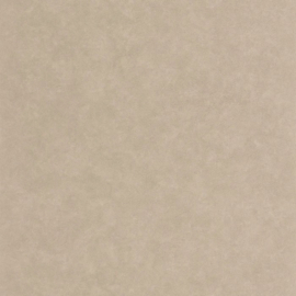 Casadeco So Color 6 behang Cote d'opale Taupe SOCO 201491818