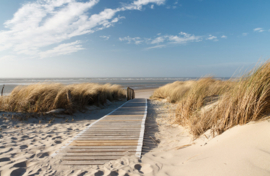 Papermoon Fotobehang Wandelpad Strand