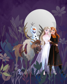 Disney Into Wonderland Fotobehang Frozen Full Moon Hike IADX4-092