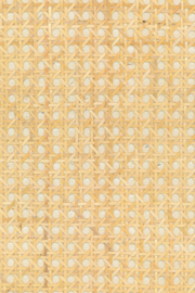 Arte All Naturals behang Rattan Off-white 85540A