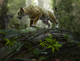 Papermoon Fotobehang Jaguar Op De Uitkijk