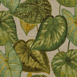 Hookedonwalls Tahiti behang Tropical Leaves TA25052