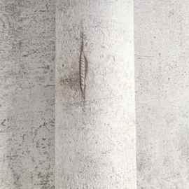 AS Creation Cosmo Living behang 79085-2