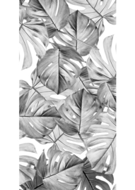 KEK Amsterdam Flora & Fauna behang Monstera WP-583