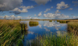 Noordwand Holland Fotobehang Dwingelderveld 1797