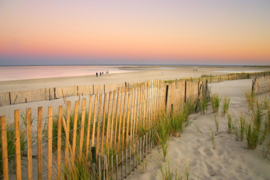 Papermoon Fotobehang Duinen Cape Cod