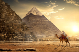 Papermoon Fotobehang Kameel Voor Piramides