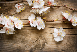 Papermoon Fotobehang Bloemen Op Hout