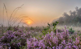 Noordwand Holland Fotobehang Planken Warmbuis 8599