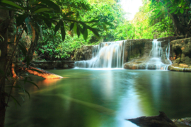 Papermoon Fotobehang Kleine Waterval In Het Regenwoud