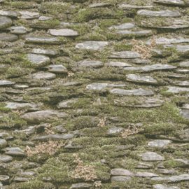 Noordwand Evergreen behang Stenen 7336