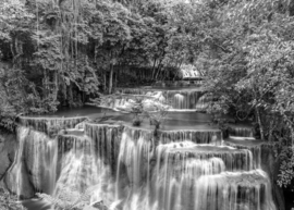 Papermoon Fotobehang Grote Waterval In Het Bos Zwart-Wit