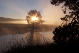 Papermoon Fotobehang Rivier Zonsopgang Door Een Boom