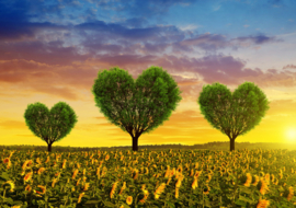 Papermoon Fotobehang Bloemenweide Met Hartbomen