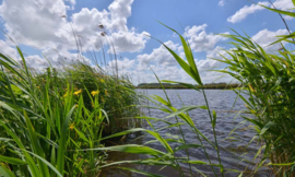 Noordwand Holland Fotobehang Eemland 2268