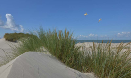 Noordwand Holland Fotobehang Duinen en Zeepanorama 5598