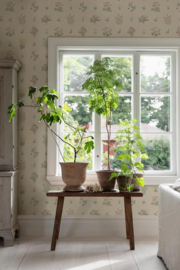 Boråstapeter Österlen behang Ängsflora Green 6951