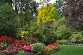 Papermoon Fotobehang Kleurrijke Bloemen Tuin