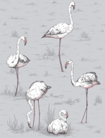 Cole & Son Icons behang Flamingos 112/11040