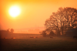 Papermoon Fotobehang Zonnige Mistige Zonsopgang