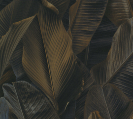Folium Bananenbladeren behang Dark Brown FO17808