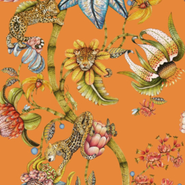 Cole & Son Ardmore Baobab behang Protea Panthera Clementine 129/6022