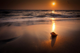 Papermoon Fotobehang Tropische Strandzonsondergang