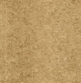Dutch First Class Precious Metals ARM0010
