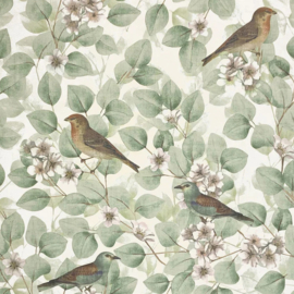 Arthouse Signature Collection behang Birds & Blossoms Green 296402