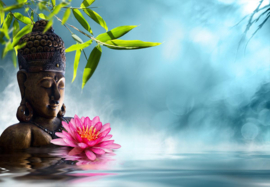 Papermoon Fotobehang Boeddha In Meditatie