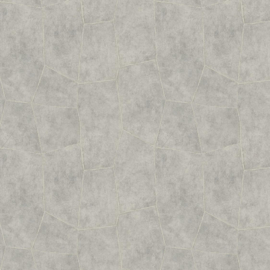 Hookedonwalls Livingstone behang Flagstone 53725