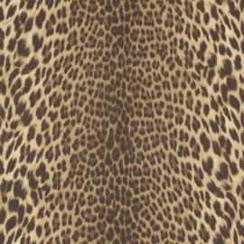 Roberto Cavalli Home № 9 behang RC 21041