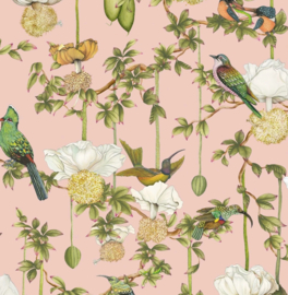 Cole & Son Ardmore Baobab behang Botanica Blush 129/2005