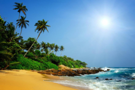 Papermoon Fotobehang Het Tropische Strand Van Sri Lanka