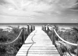 Papermoon Fotobehang Strandpad Zwart-Wit