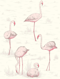 Cole & Son The Contemporary Collection behang Flamingos 95/8045