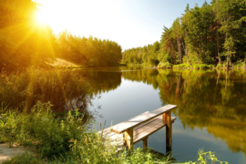 Papermoon Fotobehang Zomer Bos Meer