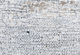Komar Fotobehang White Brick 8-881