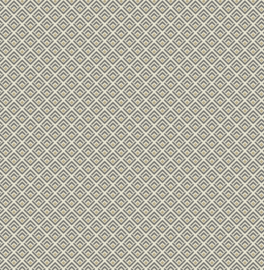 Hookedonwalls Soft Symmetry behang Geometric 68644