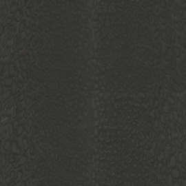 Roberto Cavalli Home № 9 behang RC 21044