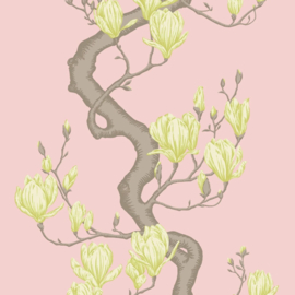 Cole & Son Classics Collection Vol. II behang Magnolia Tree Rose Pink And Soft Lemon 128/1005