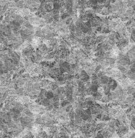 Dutch First Class Precious Metals ARM0014