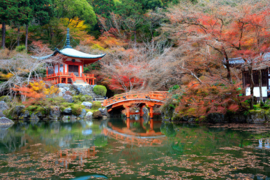 Papermoon Fotobehang Japanse Tuin Met Huisje