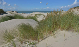 Noordwand Holland Fotobehang Duinen en Zeepanorama II 5602