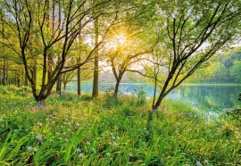 Komar Spring Lake Fotobehang National Geographic 8-524