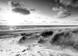 Papermoon Fotobehang Bewolkt Strand Zwart-Wit